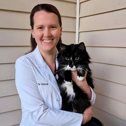 Lauren Nelson (Eyrich)